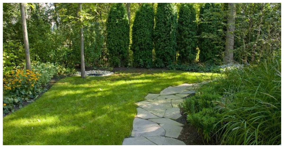 30 Ideas de Caminos de Piedra para Jardín: Elegancia y Durabilidad para